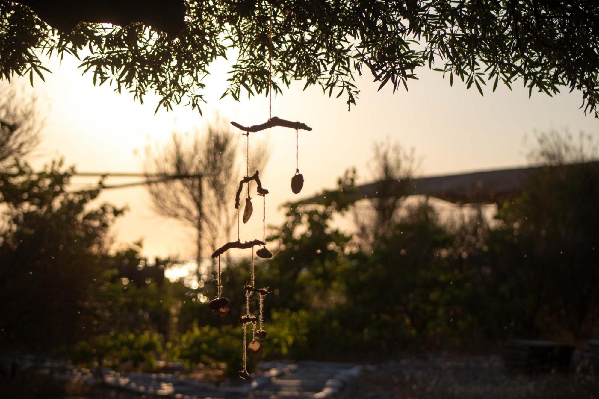 Lost Paradise Eco Camping ฮีมาเรอ ภายนอก รูปภาพ