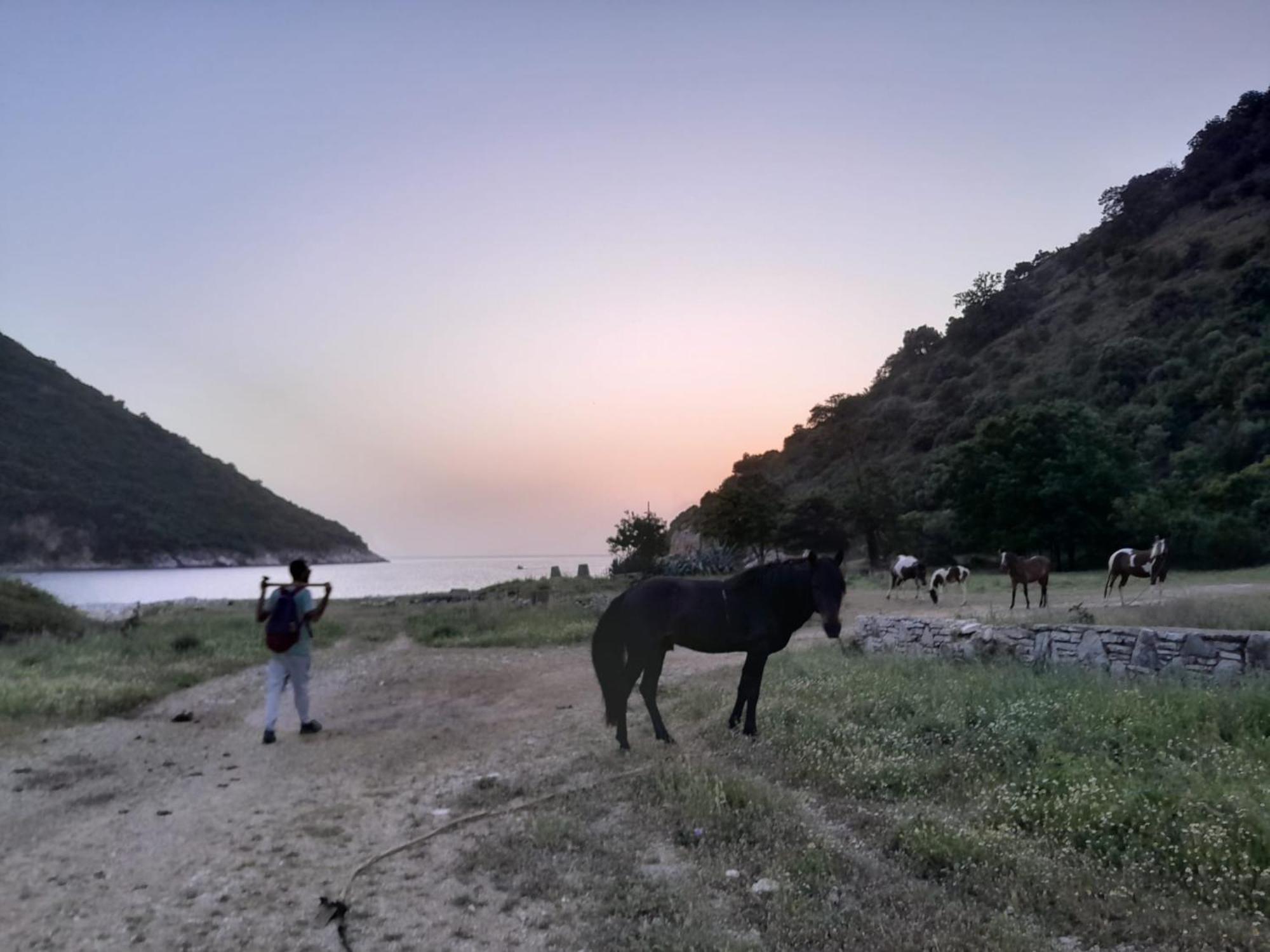 Lost Paradise Eco Camping ฮีมาเรอ ภายนอก รูปภาพ